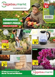 Briketts im Hagebaumarkt Prospekt in München Aktueller Hagebaumarkt Prospekt mit Briketts, "KÖRBEWEISE HERBST-PREISE.", Seite 1