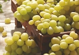 Promo Raisin Italia à 1,69 € dans le catalogue Supeco à Fouquereuil