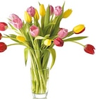 Tulpenstrauß für 5,98 € bei Netto mit dem Scottie im Angebot Tulpenstrauß im aktuellen Netto mit dem Scottie Prospekt