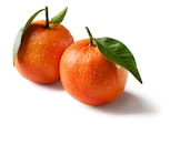 Mandarinen mit Blatt  im aktuellen Lidl Prospekt für 1,99 €