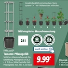 Tomaten-Pflanzgefäß Angebote von PARKSIDE bei Lidl Warendorf für 9,99 €