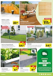 Zaun im Hagebaumarkt Prospekt in Langenhagen Aktueller Hagebaumarkt Prospekt mit Zaun, "Schenk mit uns von Herzen", Seite 13