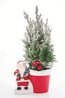Konifere in Weihnachtskeramik Angebote bei Lidl Stendal für 3,99 €