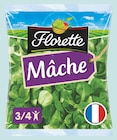 Mâche à Intermarché dans Saint-Félix-de-Pallières