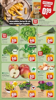 Kräuter im REWE Prospekt "Dein Markt" mit 18 Seiten (Düsseldorf)