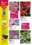 Fleurs Fleurs