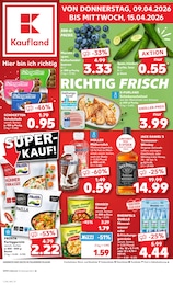 Kaufland Prospekt für Bad Essen: "Aktuelle Angebote", 58 Seiten, 09.04.2026 - 15.04.2026