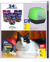 Offre Maison De Toilette Chat dans le catalogue Carrefour du moment à la page 15