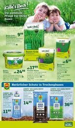 Saatgut Angebot im aktuellen Pflanzen Kölle Prospekt auf Seite 9