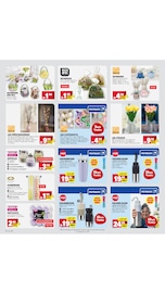 Lavendel im E center Prospekt in Mainz Aktueller E center Prospekt mit Lavendel, "Aktuelle Angebote", Seite 69