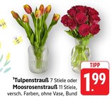 Tulpenstrauß im Angebot bei EDEKA in Ravensburg Tulpenstrauß Angebote bei EDEKA Ravensburg für 1,99 €