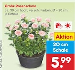 Netto Marken-Discount Winkelhaid Prospekt mit  im Angebot für 5,99 €