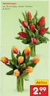 Aktuelles Herbsttulpen Angebot bei Netto Marken-Discount in Berlin ab 2,99 €