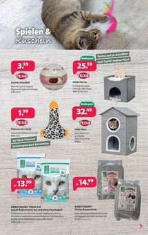 Katzenstreu im Kiebitzmarkt Prospekt "Es geht wieder los. Die Anzucht beginnt!" mit 8 Seiten (Cottbus)