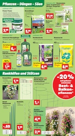 Gartenbepflanzung Angebote im Prospekt "Top Angebote" von Thomas Philipps auf Seite 5