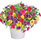 Stapelsessel Bari bei Hellweg im Prospekt "" für 74,99 €