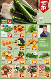 Ähnliche Seerose Angebote im Prospekt "Dein Markt" von REWE Ähnliches Angebot bei REWE in Prospekt "Dein Markt" gefunden auf Seite 7