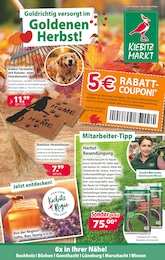 Kiebitzmarkt Prospekt für Bad Bevensen: "Goldrichtig versorgt im Goldenen Herbst!", 8 Seiten, 11.10.2025 - 18.10.2025