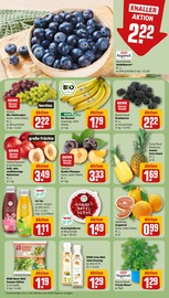Ähnliche Zitronenbaum Angebote im Prospekt "Dein Markt" von REWE in Lemgo Ähnliche Angebote wie Zitronenbaum im Prospekt "Dein Markt" auf Seite 6 von REWE in Lemgo