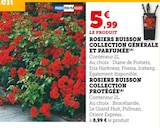 Rosiers buisson collection générale et parfumée en promo chez Hyper U Savigny-sur-Orge à 5,99 €