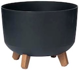Outdoor-Töpfe im Angebot bei Rusta in Bergheim Outdoor-Töpfe Angebote bei Rusta Bergheim für 7,70 €
