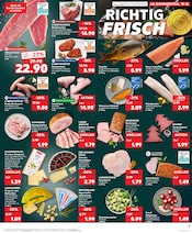 Aktueller Kaufland Prospekt mit Pute, "Aktuelle Angebote", Seite 13