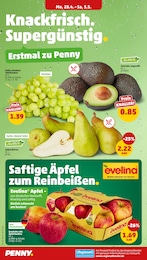 Penny Avocado im Prospekt 