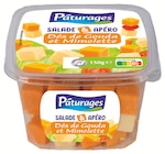 Salade & Apéro Dés de Gouda et Mimolette - PÂTURAGES en promo chez Intermarché Salade & Apéro Dés de Gouda et Mimolette - PÂTURAGES dans le catalogue Intermarché