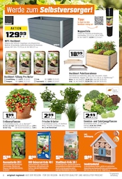 Gartendeko im OBI Prospekt in Nürnberg Aktueller OBI Prospekt mit Gartendeko, "Biberstarke ANGEBOTE", Seite 2