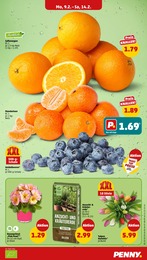 Penny Heidelbeeren im Prospekt 