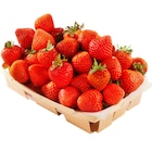 Fraise Ronde à Carrefour Market dans Belfort Fraise Ronde à Carrefour Market dans Belfort