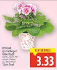 Primel im farbigen Übertopf für 3,33 € bei E center im Angebot Primel im farbigen Übertopf im aktuellen E center Prospekt