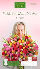 Aktueller Pflanzen Kölle Prospekt mit Tulpen, "WELTFRAUENTAG", Seite 1