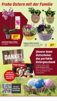 Blumentopf im toom Baumarkt Prospekt "Respekt, wer's selber macht." mit 28 Seiten (Bonn)