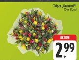 Tulpen „Karneval“ im Angebot bei EDEKA in Würzburg Tulpen „Karneval“ Angebote bei EDEKA Würzburg für 2,99 €