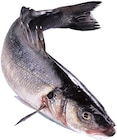 Aktuelle Fisch Angebote bei REWE in Bielefeld Aktuelles Wolfsbarsch Angebot bei REWE in Bielefeld ab 1,69 €