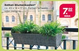 Rattan-Blumenkasten Angebote bei Netto mit dem Scottie Potsdam für 7,99 €