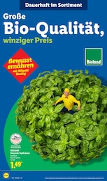 Kräuter im Lidl Prospekt LIDL LOHNT SICH auf S. 52