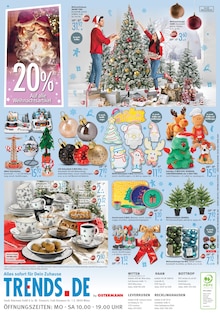 Weihnachtsbaum im aktuellen Trends Prospekt (Ratingen) Weihnachtsbaum im Trends Prospekt "Trends for Friends - Alles sofort für dein Zuhause." mit 8 Seiten (Ratingen)