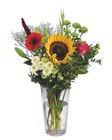 Septemberstrauß Angebote bei Lidl Solingen für 5,99 €
