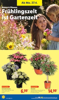 Pflanzen im Lidl Prospekt "LIDL LOHNT SICH" mit 68 Seiten (Bremen)