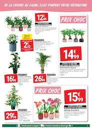Offre Kalanchoë dans le catalogue Gamm vert du moment à la page 3