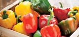 Intermarché Hallennes-lez-Haubourdin - Promo Poivron tricolore Promo Poivron tricolore à 1,39 € dans le catalogue Intermarché à Hallennes-lez-Haubourdin