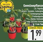 Gemüsepflanzen im aktuellen EDEKA Prospekt für 1,99 €