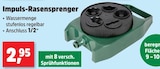 Thomas Philipps Schramberg - Impuls-Rasensprenger Angebot im Prospekt Impuls-Rasensprenger bei Thomas Philipps im Schramberg Prospekt für 2,95 €