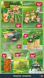 Aktueller Netto mit dem Scottie Prospekt mit Feuerschale, "Günstig. Besser. Für Dich.", Seite 19