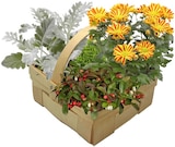 Herbstlich bepflanzter Korb im Angebot bei REWE in Wetzlar Herbstlich bepflanzter Korb Angebote bei REWE Wetzlar für 9,99 €