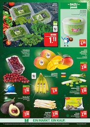 Avocado Angebot im aktuellen Marktkauf Prospekt auf Seite 8