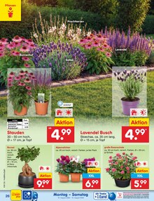 Blumen im aktuellen Netto Marken-Discount Prospekt (Jena) Blumen im Netto Marken-Discount Prospekt "Aktuelle Angebote" mit 63 Seiten (Jena)