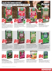 Blumenerde im Herbrügger Prospekt in Lünen Aktueller Herbrügger Prospekt mit Blumenerde, "MACHEN SIE IHREN GARTEN BEREIT - JETZT IST DIE PERFEKTE ZEIT!", Seite 13